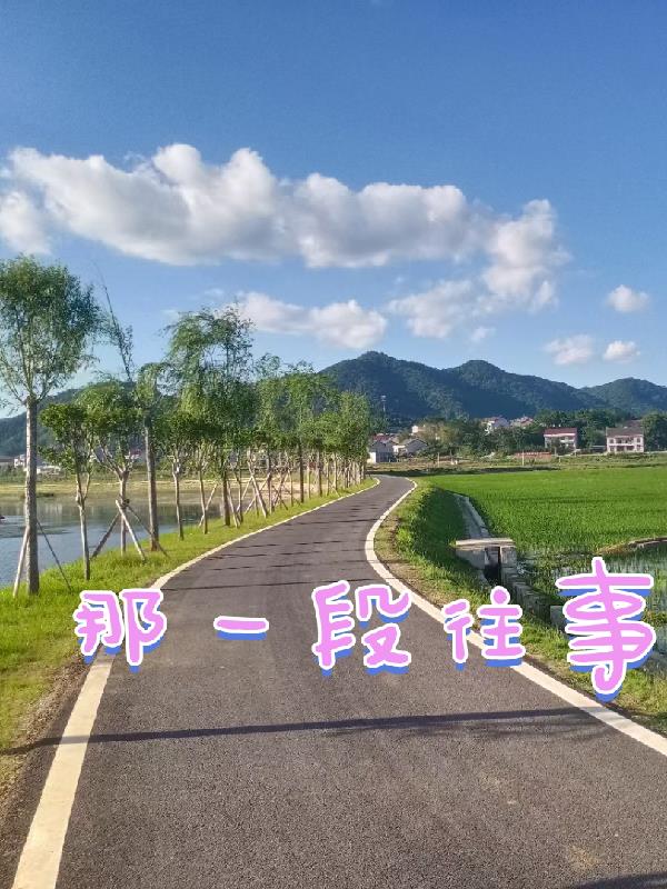 那一段日子巫启贤