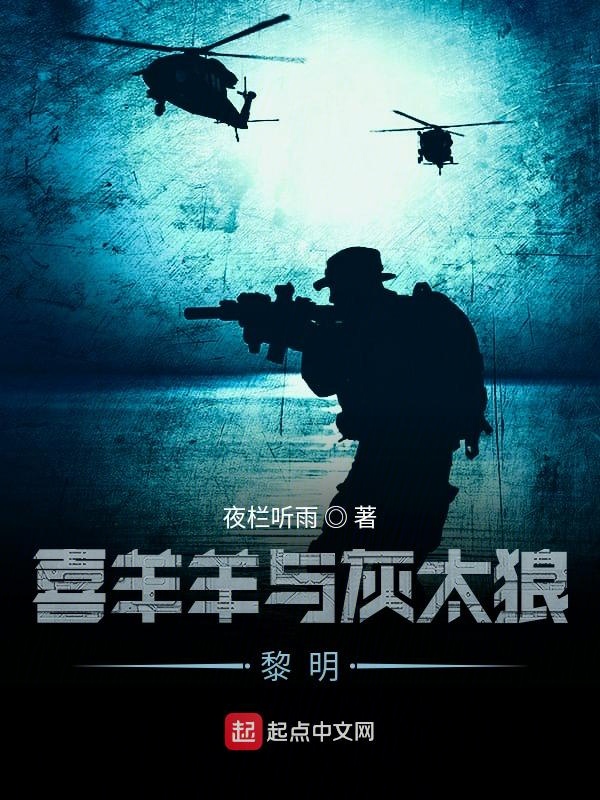 喜羊羊与灰太狼之羊羊快乐的一年